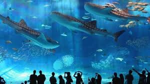 Grand Aquarium Hurghada