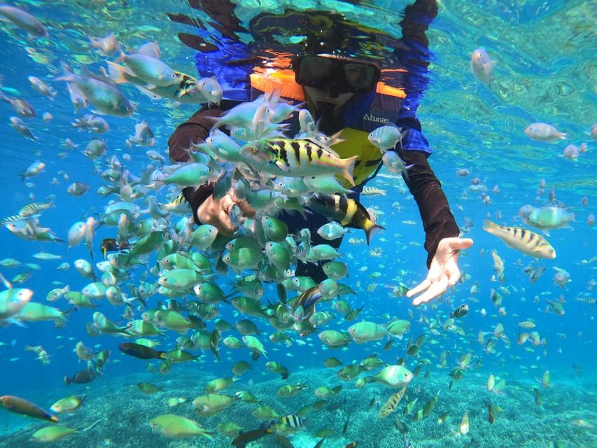 Sharm El Naga – A Paradise for Snorkeling and Nature Lovers