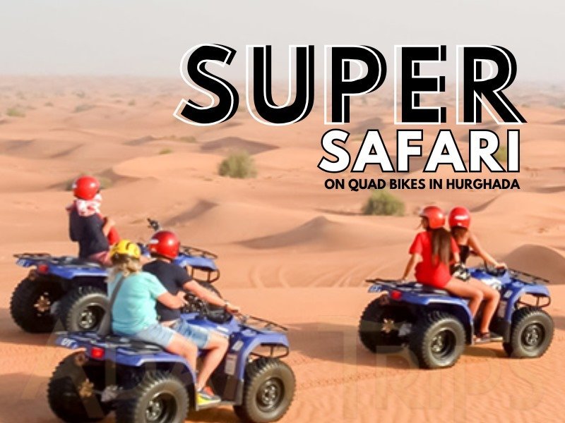 Super Safari-Desert Adventure: Quad, Spider Car and camel ride with evening show