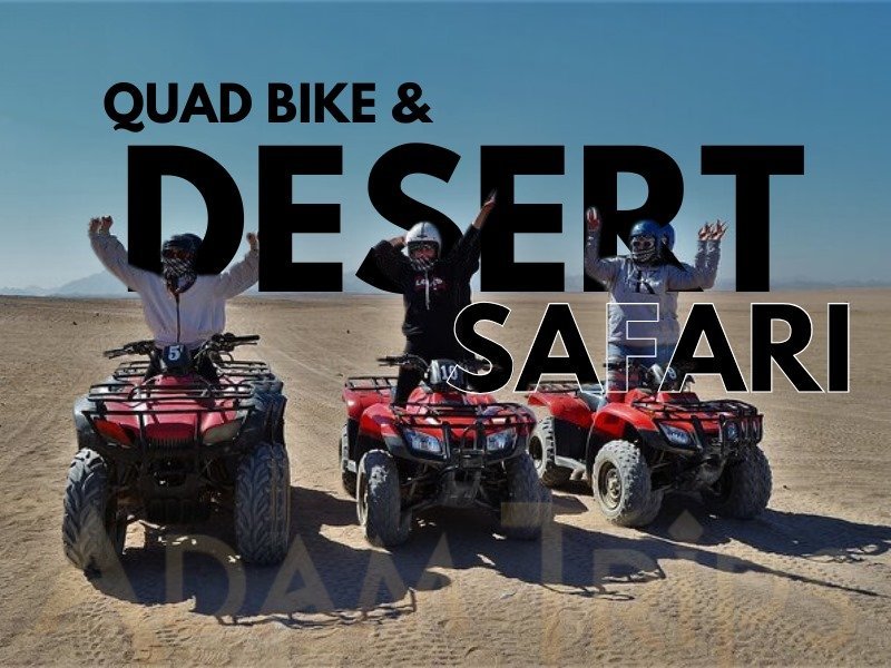 Quad trip and camel ride through the desert in Hurghada